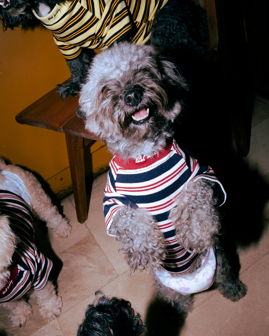 THE LITOL STRIPE - CHERRY COLA