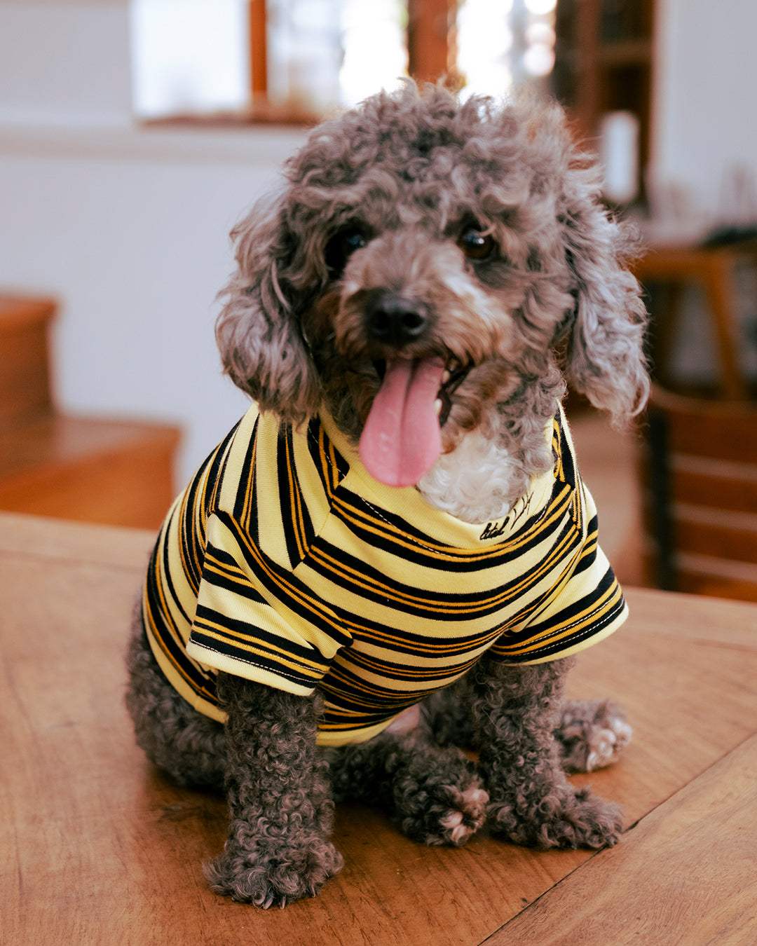 THE LITOL STRIPE - HONEY BEE