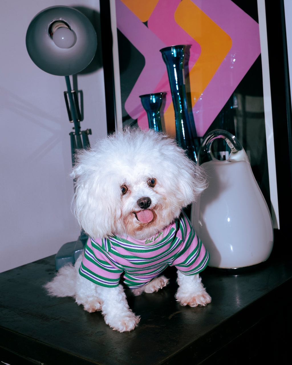 THE LITOL STRIPE - JELLY BEAN