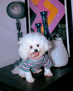THE LITOL STRIPE - JELLY BEAN