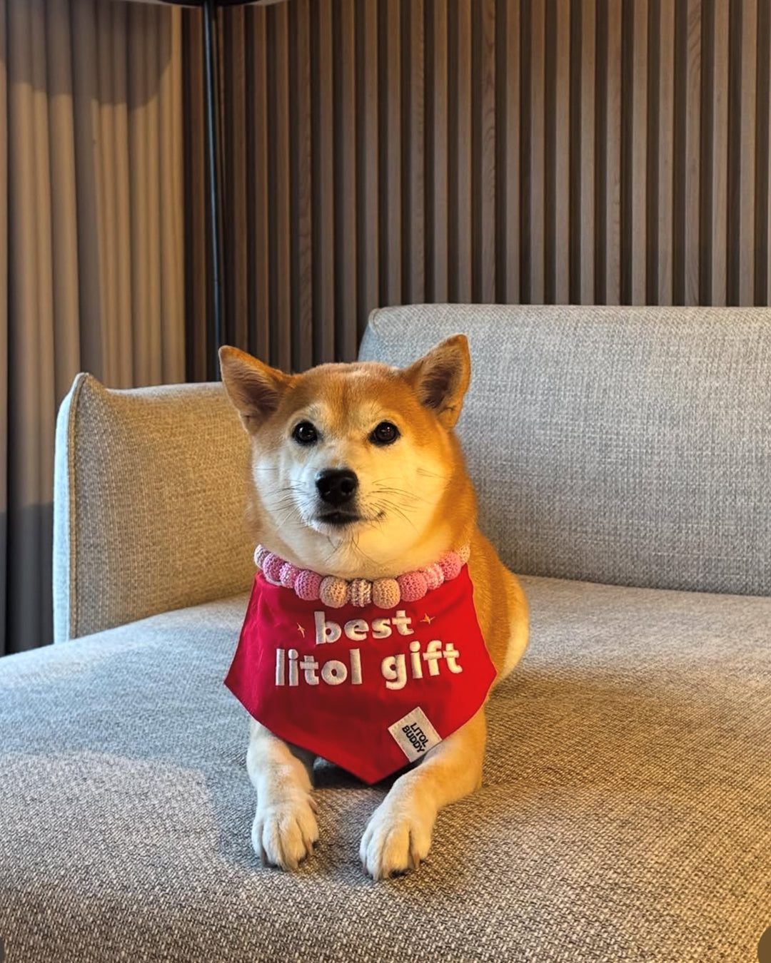 BANDANA - BEST LITOL GIFT