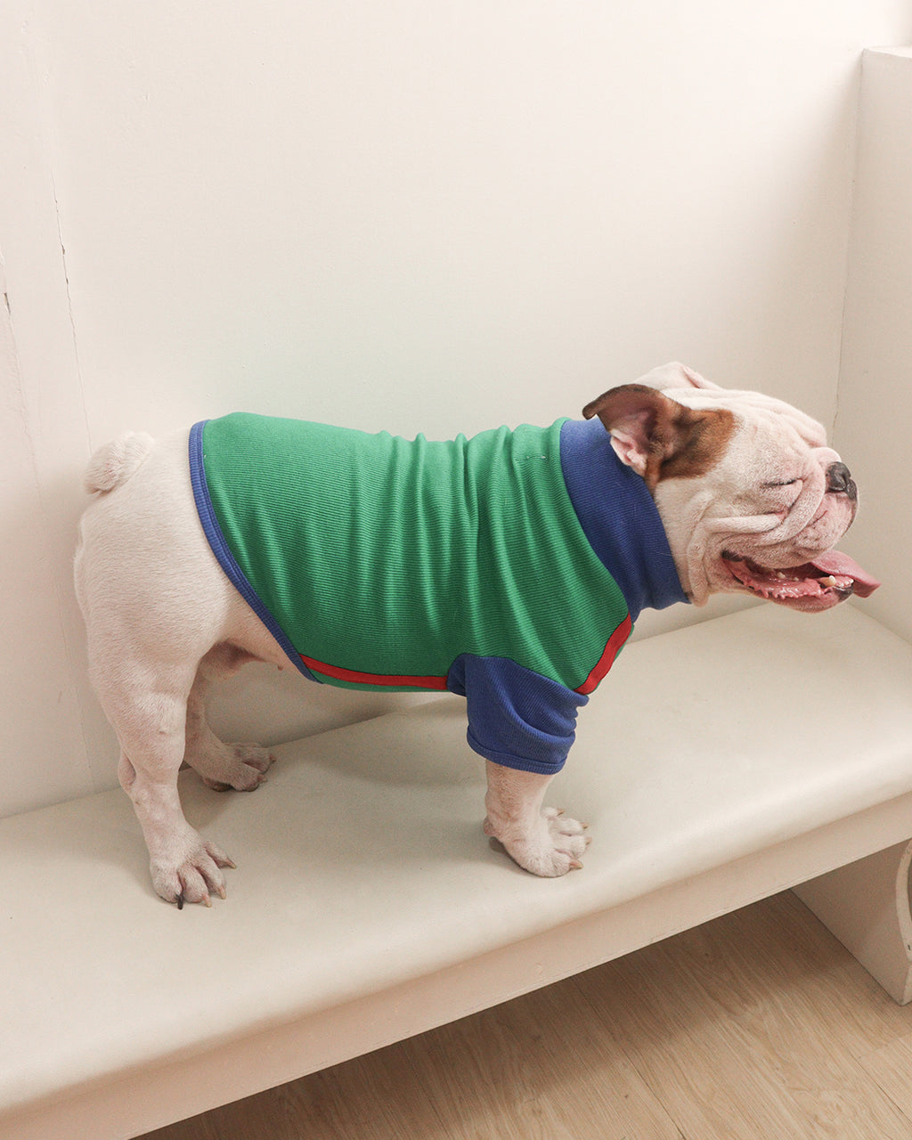 LITOL TURTLE TEE - PLAYGROUND
