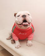LITOL TURTLE TEE - STRAWBERRY FIELDS
