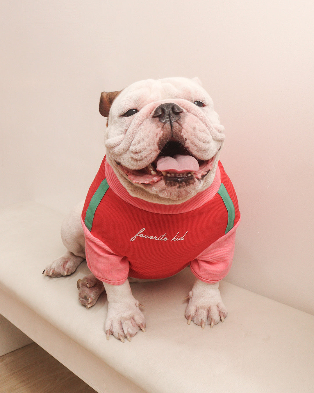 LITOL TURTLE TEE - STRAWBERRY FIELDS