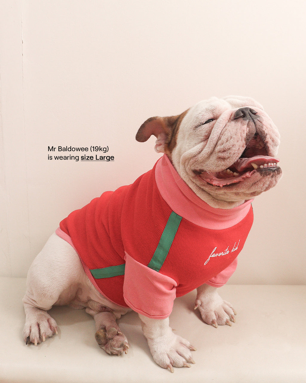 LITOL TURTLE TEE - STRAWBERRY FIELDS
