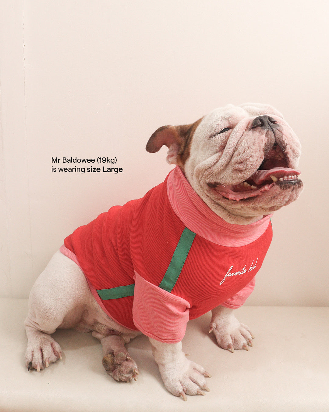 LITOL TURTLE TEE - STRAWBERRY FIELDS