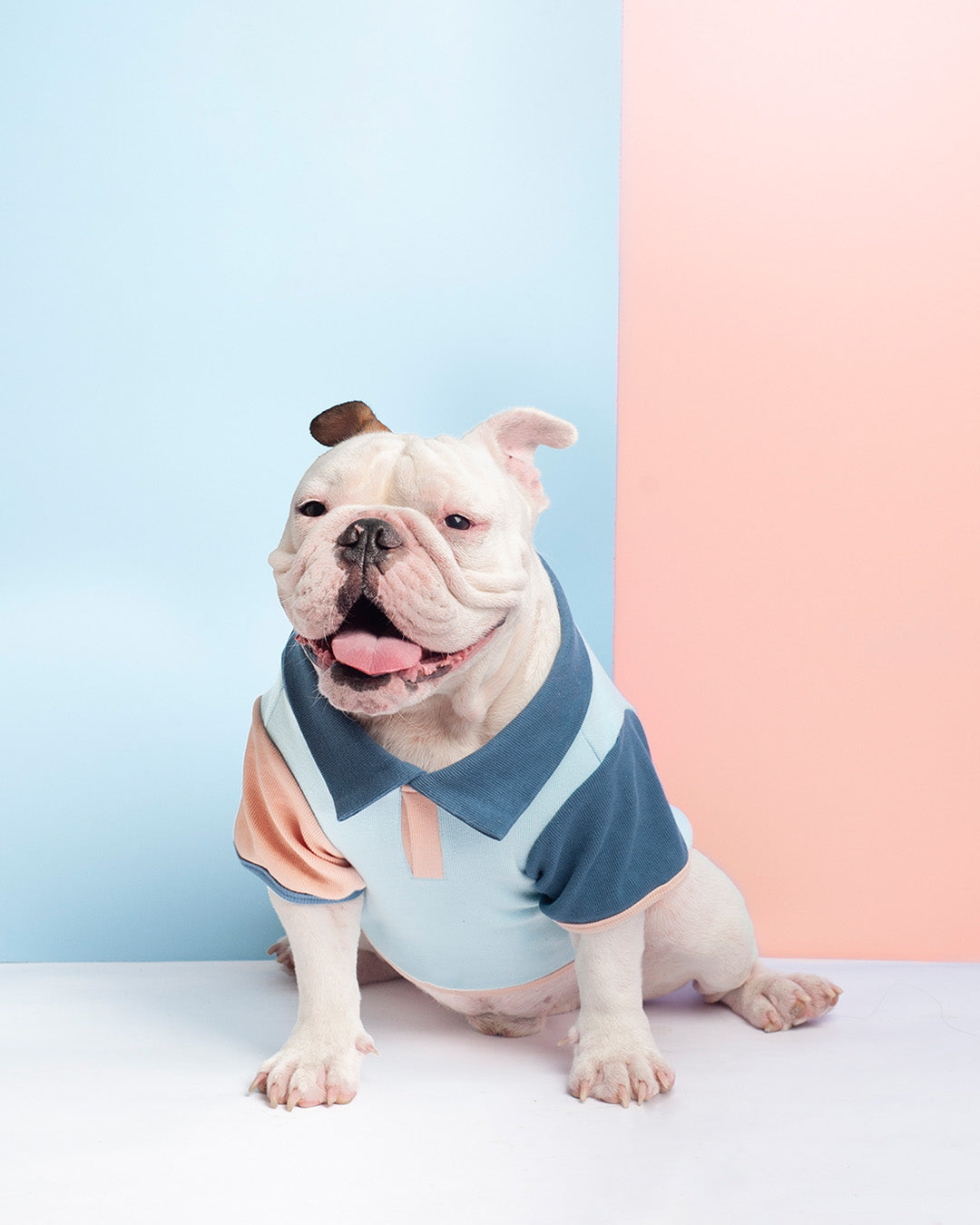 LITOL POLO - BLUSH SKY