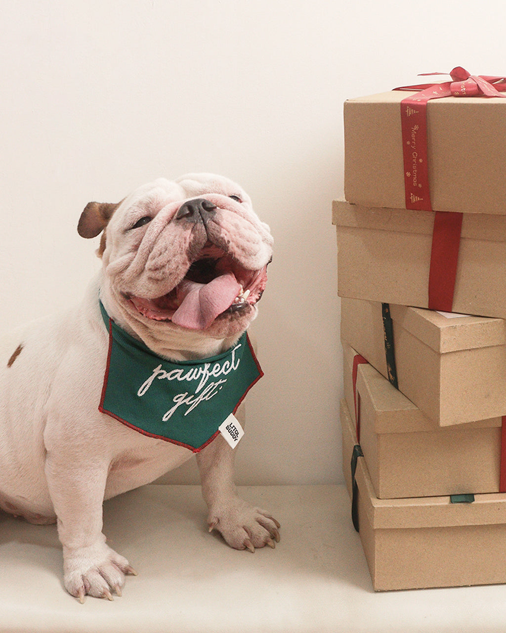 BANDANA - PAWFECT GIFT