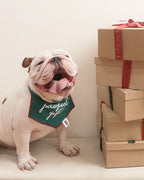 BANDANA - PAWFECT GIFT