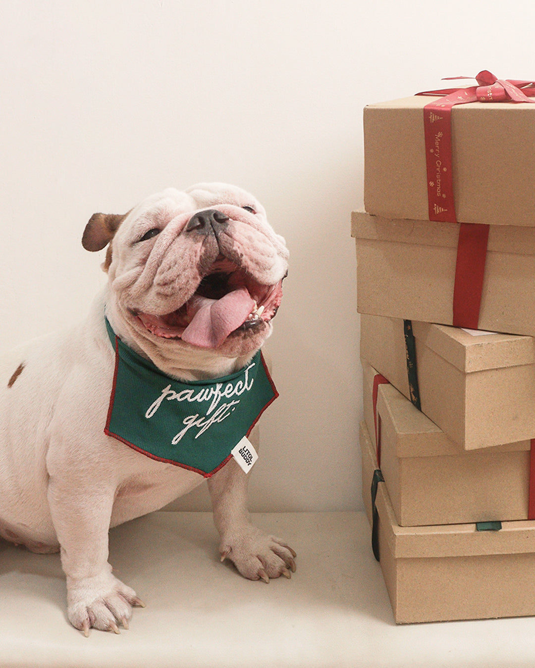 BANDANA - PAWFECT GIFT