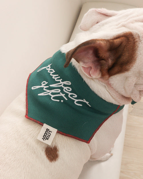 BANDANA - PAWFECT GIFT
